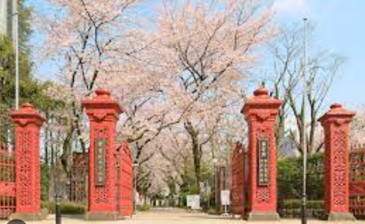 小泉みゆきの母校・学習院女子大学